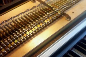 Rhodes piano harp